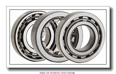 25 mm x 62 mm x 24 mm  NTN NUP2305ET2XC3U Single row cylindrical roller bearings