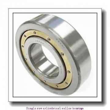 25 mm x 62 mm x 24 mm  NTN NUP2305ET2X Single row cylindrical roller bearings