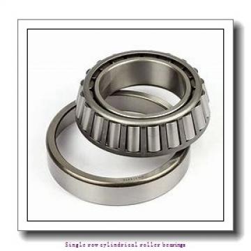 55 mm x 100 mm x 21 mm  NTN NUP211EG1C3U Single row cylindrical roller bearings
