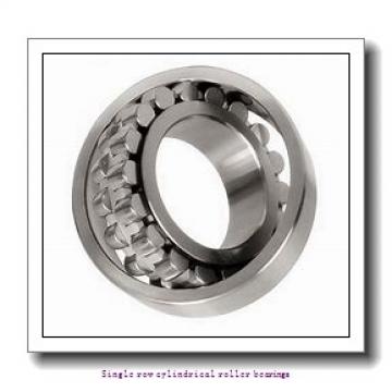 55 mm x 100 mm x 21 mm  NTN NUP211ET2XC3U Single row cylindrical roller bearings