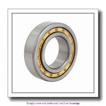 45 mm x 100 mm x 36 mm  NTN NUP2309EG1C3 Single row cylindrical roller bearings