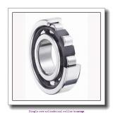 25 mm x 62 mm x 24 mm  NTN NUP2305ET2XC4 Single row cylindrical roller bearings